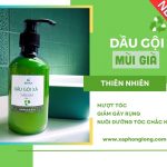 Dau goi xa Mui Gia